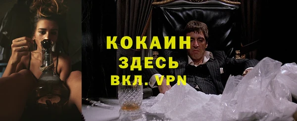 спиды Арсеньев