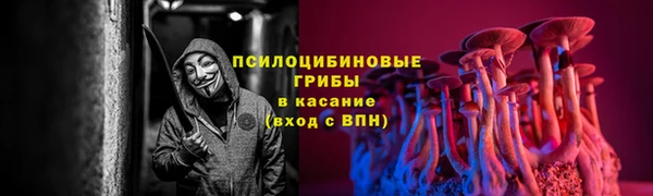 спиды Арсеньев