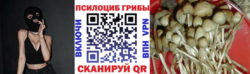 Галлюциногенные грибы ЛСД  Семикаракорск 